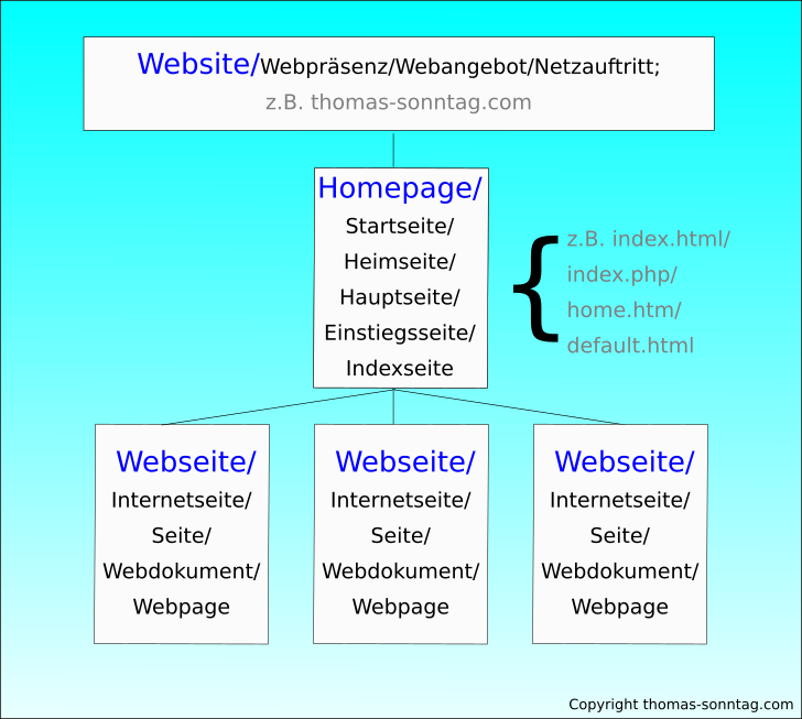 Grafische Darstellung der Unterschiede zwischen Website, Homepage und Webseite